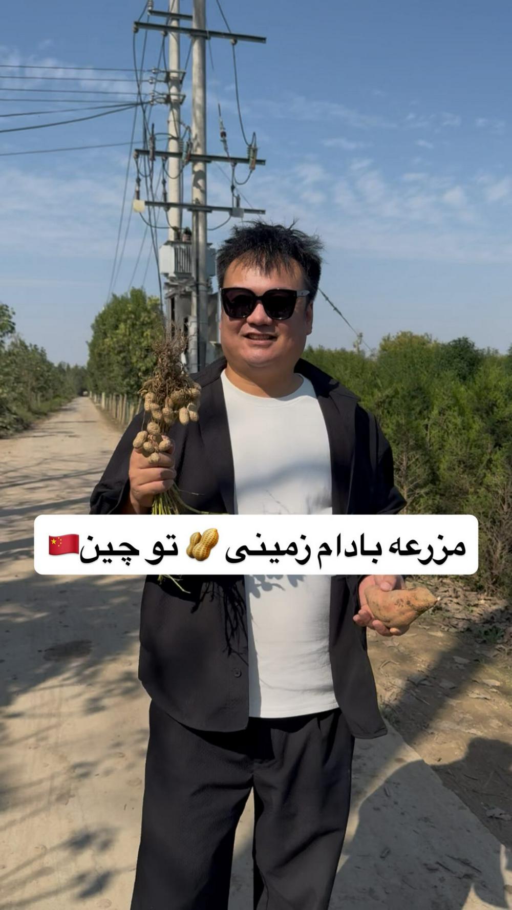 مزرعه بادام زمینی 🥜چینی ها🇨🇳
شما بادام زمینی دوست دارین؟

.

.

#چین #چینی #بادام #بادام_زمینی #مزرعه