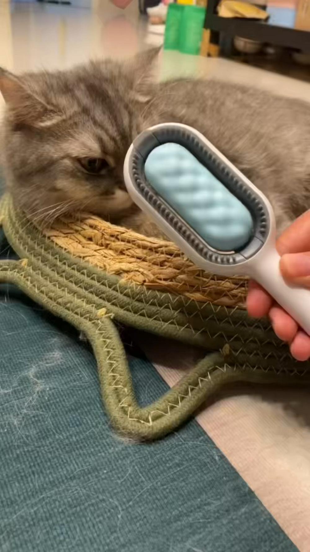 به موهای دوست پشمالوی خود مراقبت ویژه‌ای بدهید! 🐶🐱 با شانه موی حیوان خانگی، تمیزی و زیبایی موهای حیوانات خانگی خود را به سطح جدیدی ببرید. این شانه با طراحی خاص و عملکرد بی‌نظیر، تجربه‌ای راحت و دلپذیر برای شما و حیوان خانگی‌تان فراهم می‌کند.

ویژگی‌های تخصصی:
دندانه‌های نرم و ملایم: دندانه‌های شانه به گونه‌ای طراحی شده‌اند که به پوست حساس حیوانات آسیبی نمی‌رسانند و به راحتی گره‌ها و موهای مرده را از بین می‌برند.
طراحی ارگونومیک: دسته راحت و ضد لغزش که کنترل و استفاده از شانه را آسان و بدون خستگی می‌کند.
مناسب برای انواع موها: قابل استفاده برای موهای کوتاه، بلند، نرم و زبر حیوانات خانگی، بدون ایجاد کشیدگی یا آسیب.
افزایش سلامت پوست و مو: با استفاده منظم از این شانه، جریان خون پوست افزایش یافته و به سلامت و براقیت موهای حیوانات خانگی کمک می‌کند.
ساختار مقاوم و با دوام: ساخته شده از مواد با کیفیت که مقاومت بالا در برابر استفاده روزانه دارد.
پاکسازی آسان: شانه به راحتی تمیز می‌شود و همیشه آماده استفاده است.